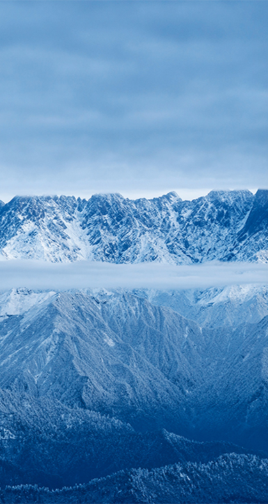 关于十三国际官网